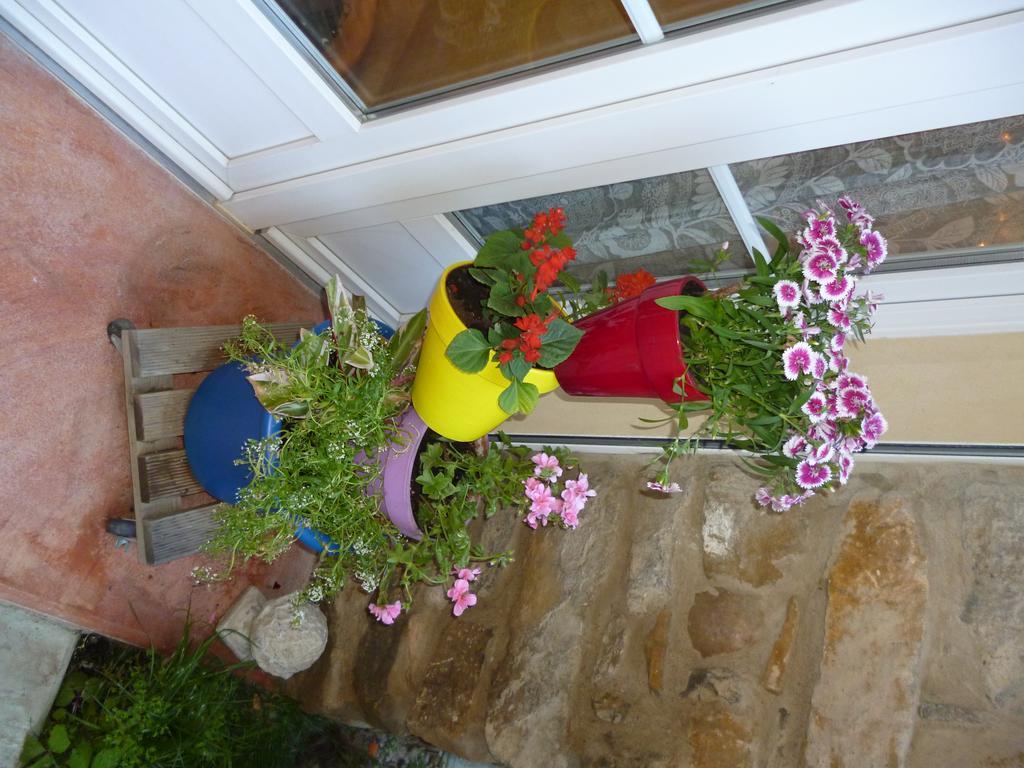 Chambres D'Hotes La Rose Des Vents Ginestas Dış mekan fotoğraf