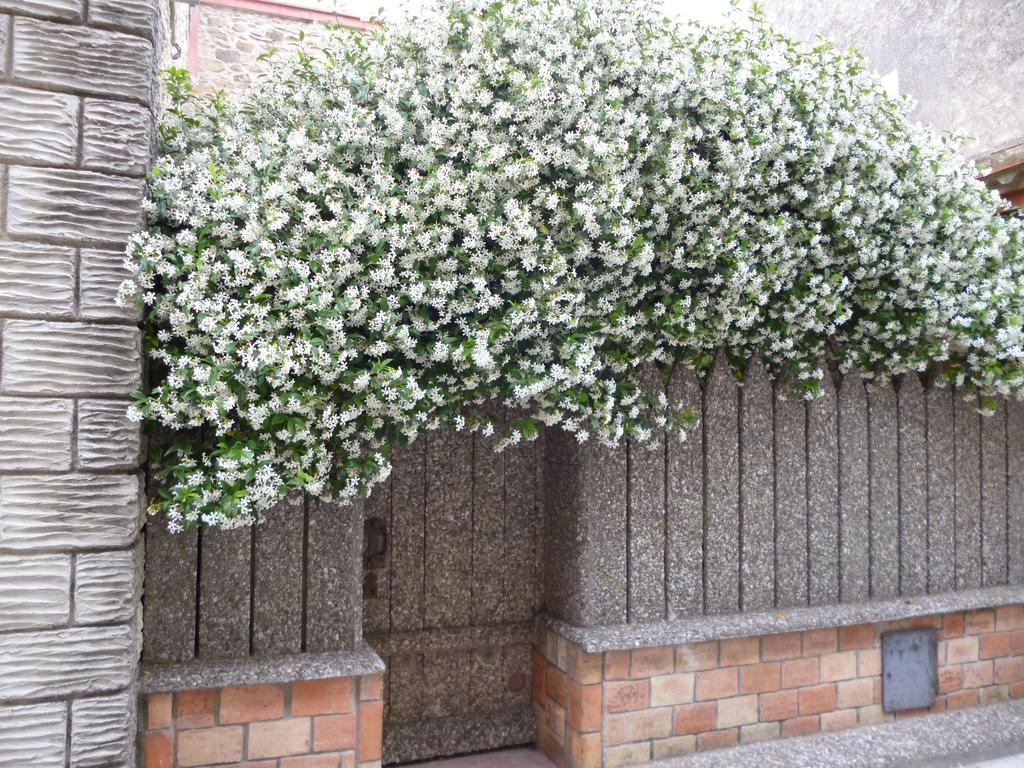 Chambres D'Hotes La Rose Des Vents Ginestas Dış mekan fotoğraf