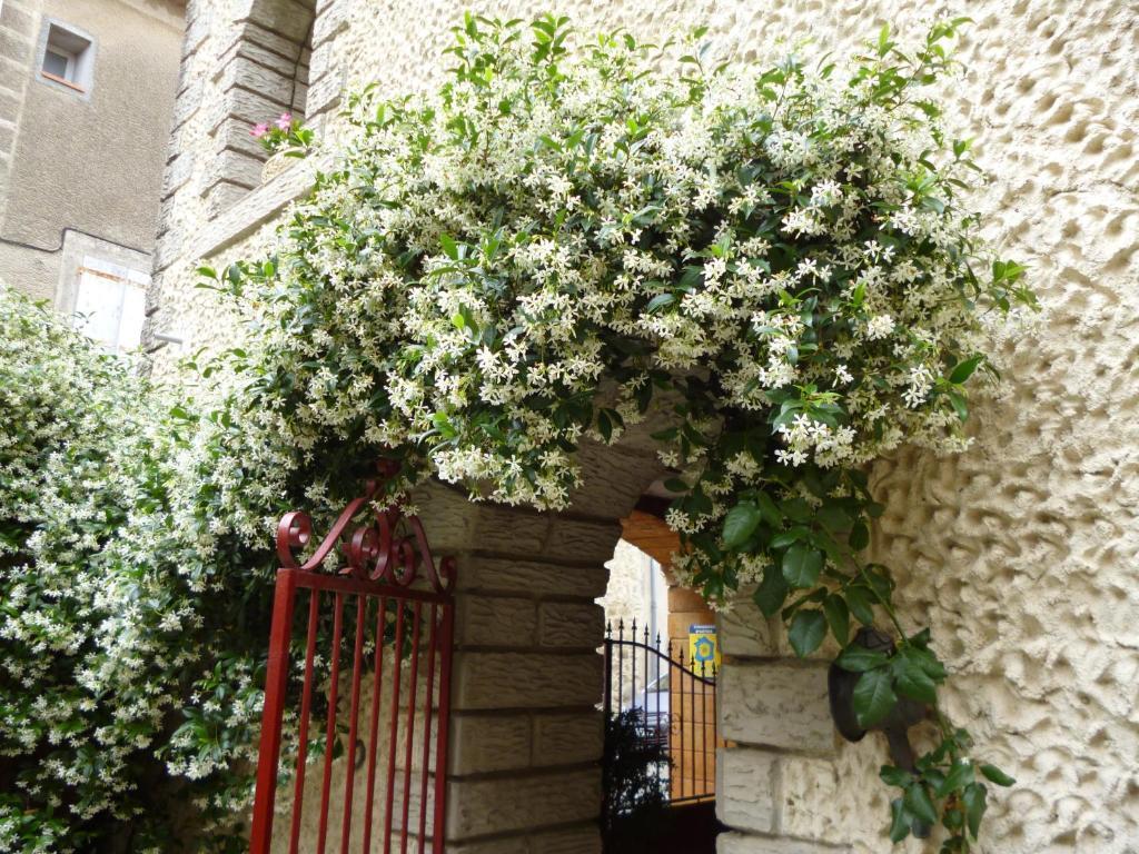 Chambres D'Hotes La Rose Des Vents Ginestas Dış mekan fotoğraf